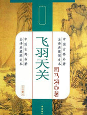 飞羽天关